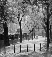 an idyllic urban scene