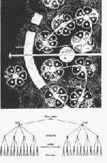 FIG 1