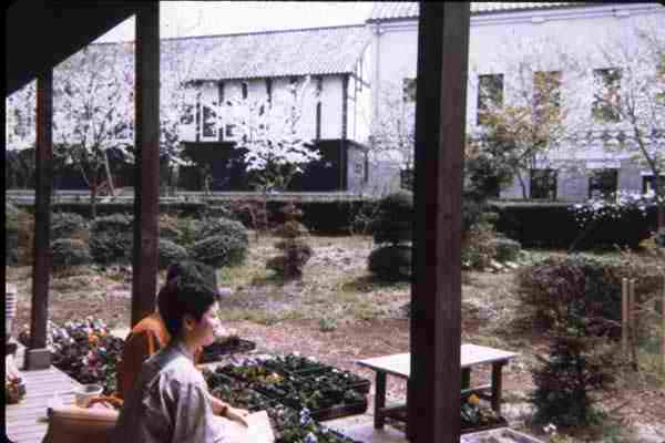 garden and college buildings