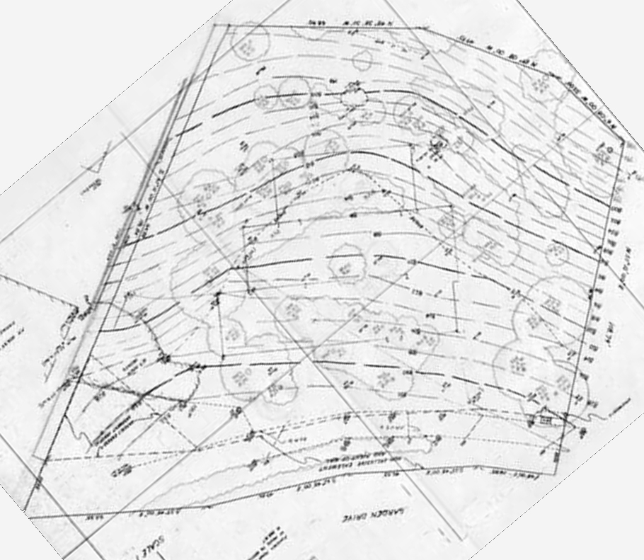 Topographic map of site