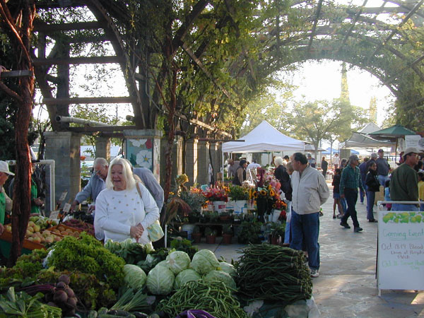 A covered market, pedestrian lanes internal to the block