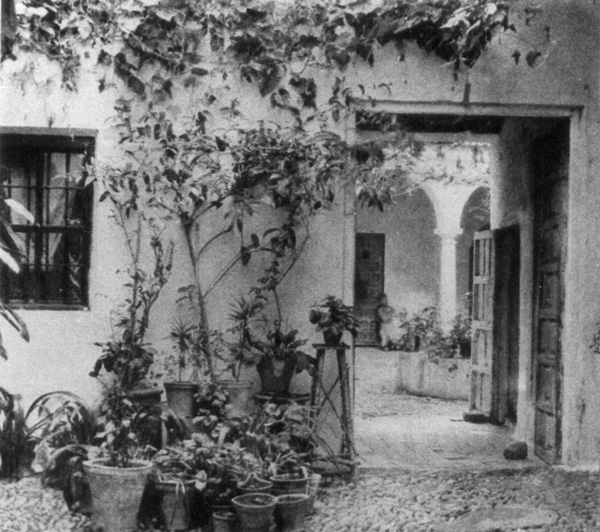 A covered entrance with vines