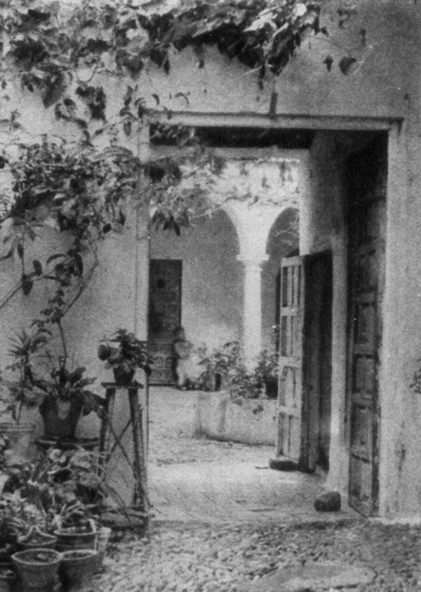 A white covered entrance-way with wisteria