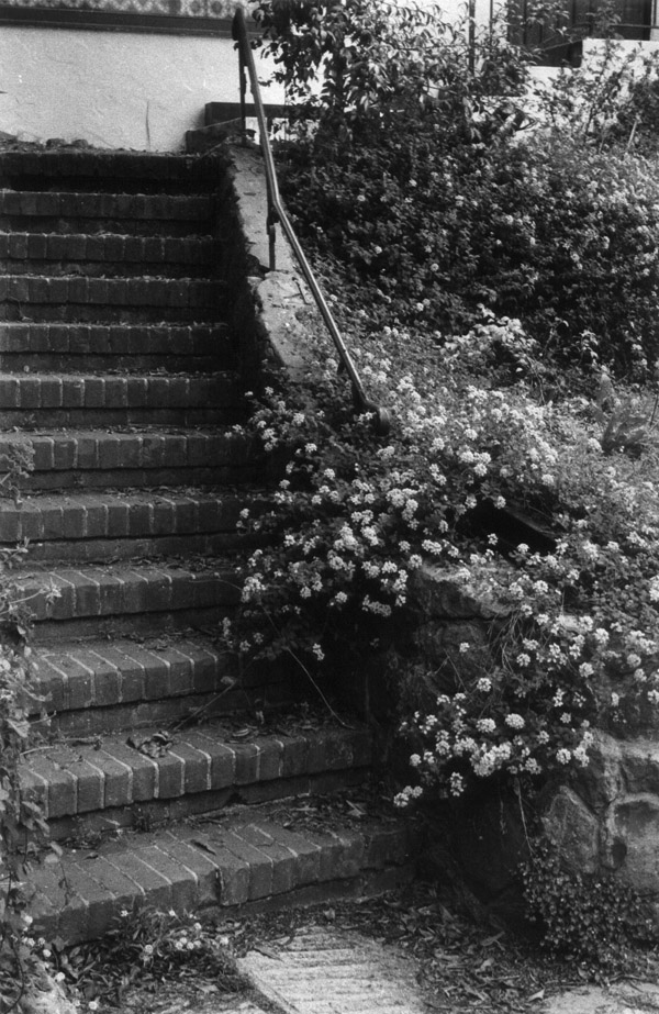 A stone stairway