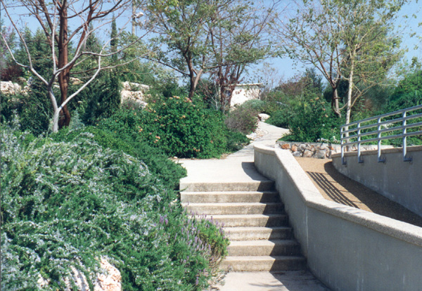 A green neighborhood pathway