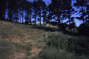 A finished meadow in Berkeley