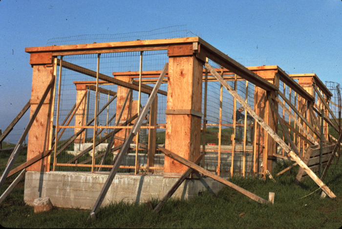 Early construction