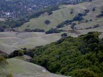 A view of Sibley National Park, Oakland, California